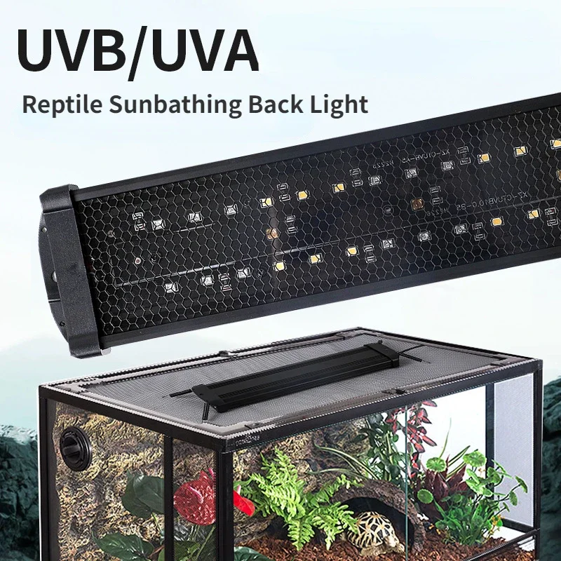 Calcium Powder Reptile - Lampada UV a LED a spettro
