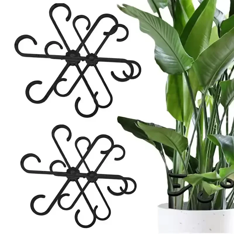 Vine Climbing Plastic - Supporti per foglie di Alocasia e