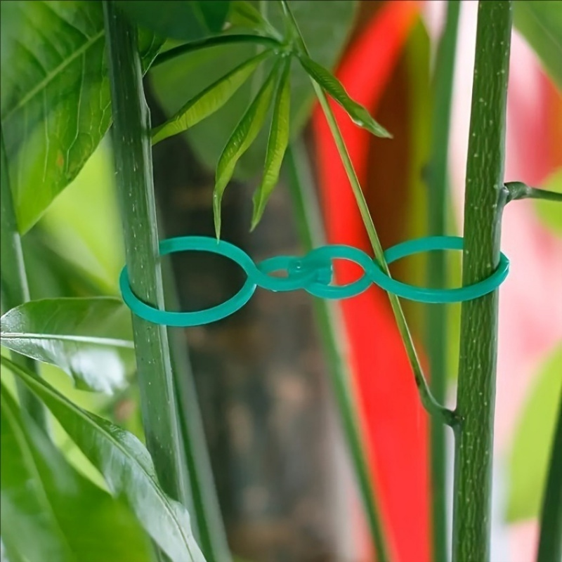 Kit di supporto per piante da  - Vine Climbing Plastic recensione e prezzo