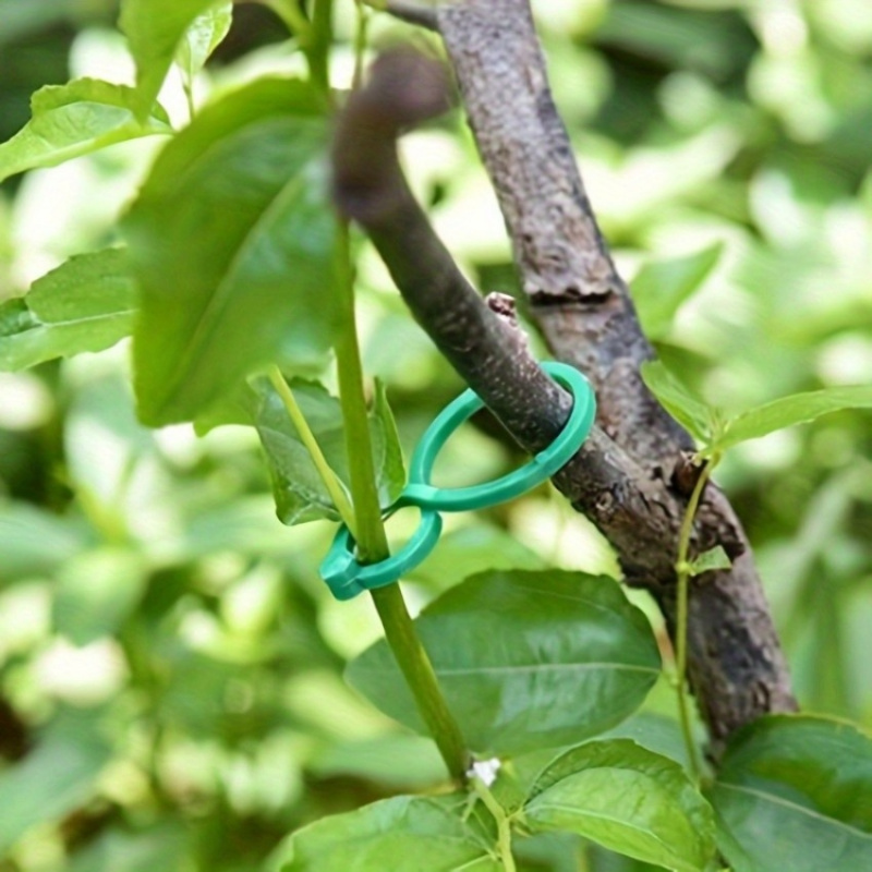 Kit di supporto per piante da  - Vine Climbing Plastic recensione e prezzo