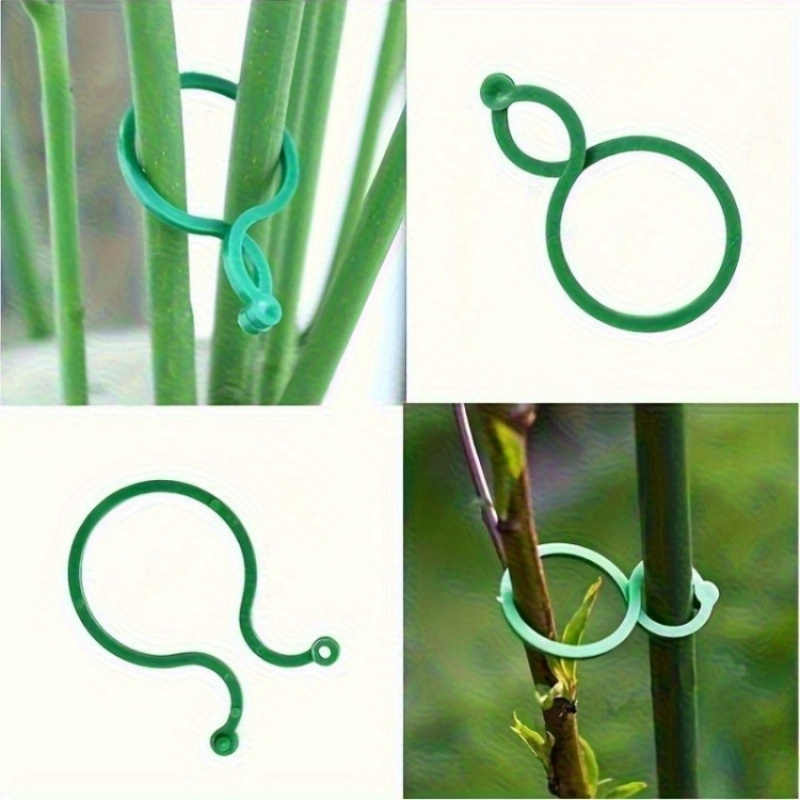 Kit di supporto per piante da  - Vine Climbing Plastic recensione e prezzo