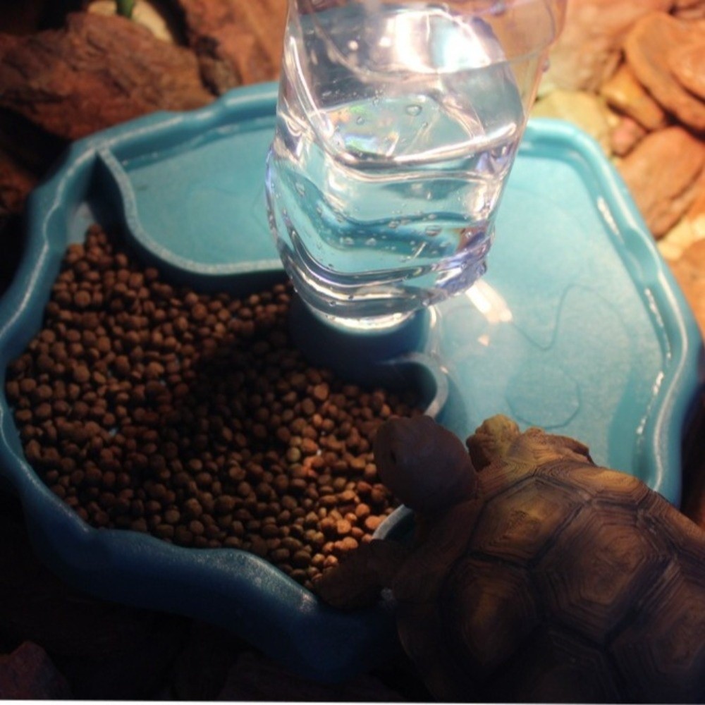 Nuovo Mangiatoia Rimovibile pe - Water Dish Reptile recensione e prezzo