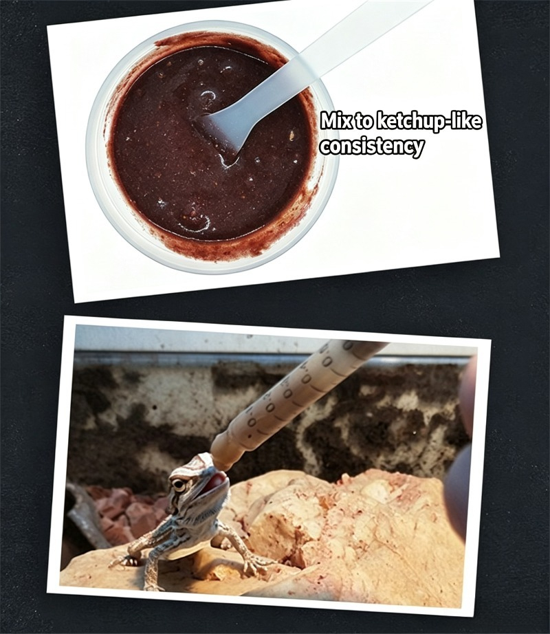 Alimento per rettili, pasta di - Calcium Powder Reptile recensione e prezzo