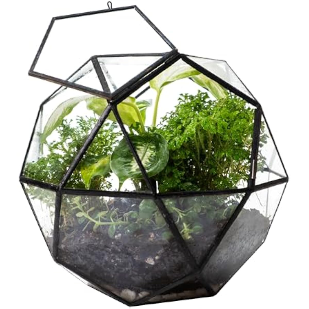 Terrario a forma di sfera geom - Glass Door Hinge recensione e prezzo