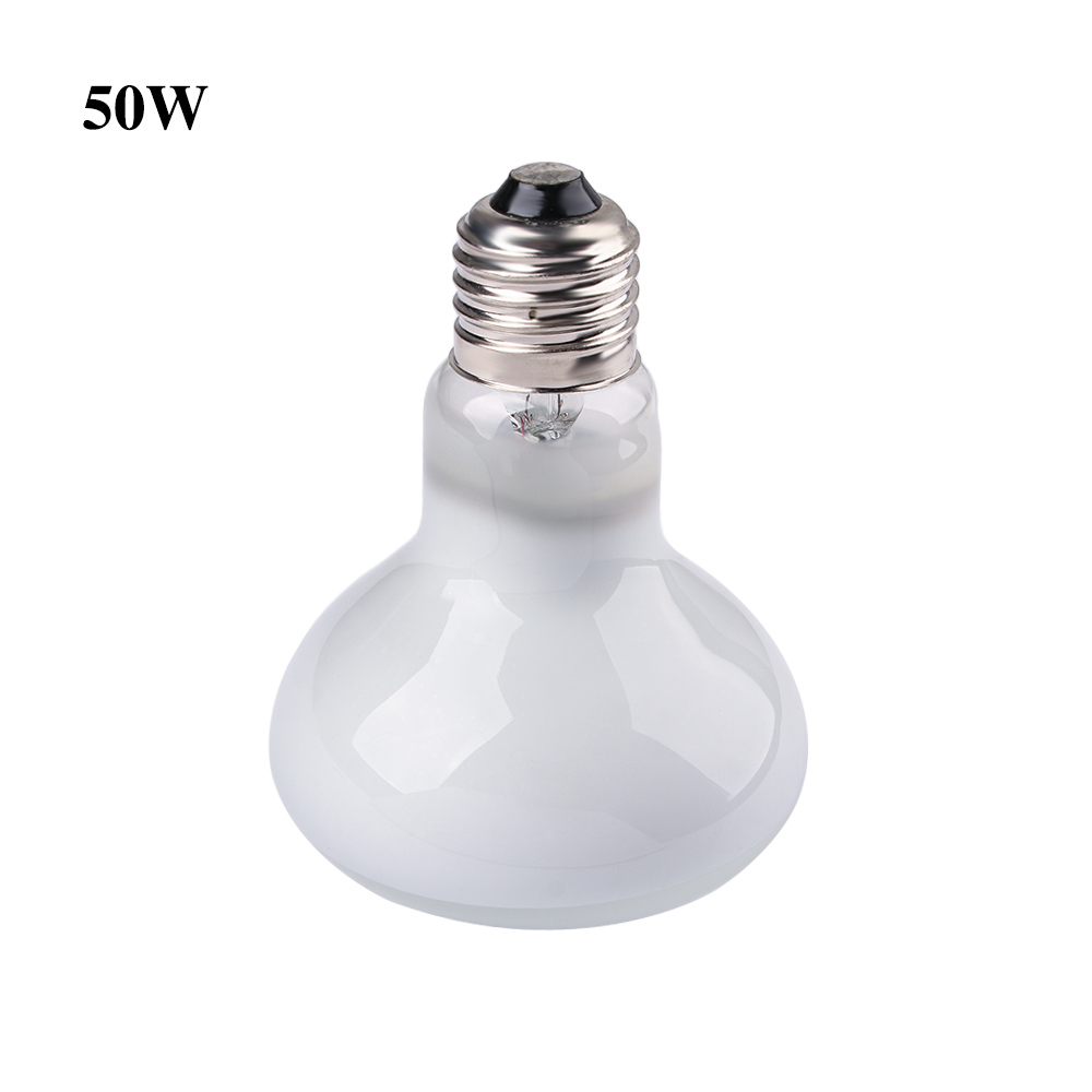 Riscaldatore per Tartarughe co - Basking Bulb Halogen recensione e prezzo