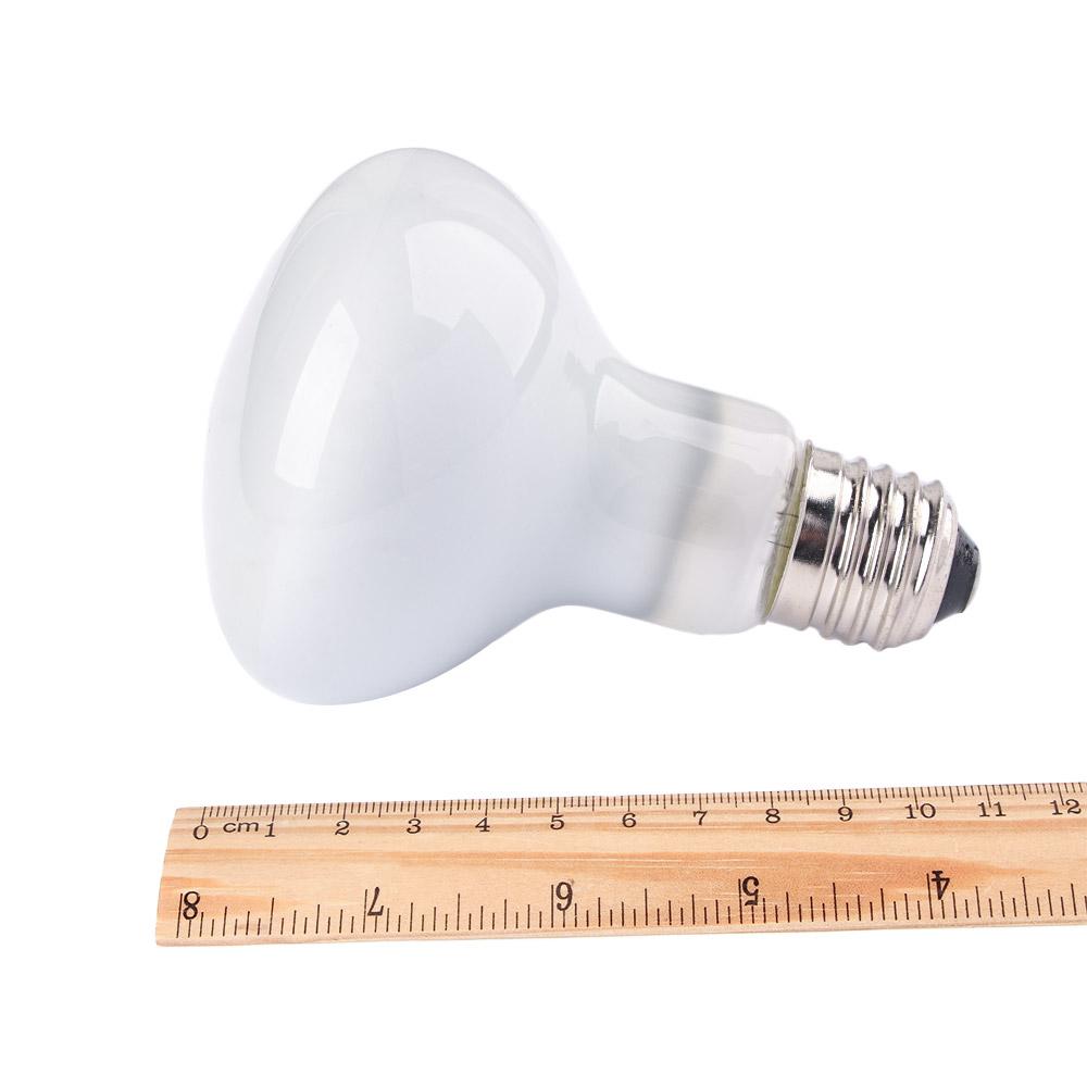 Riscaldatore per Tartarughe co - Basking Bulb Halogen recensione e prezzo