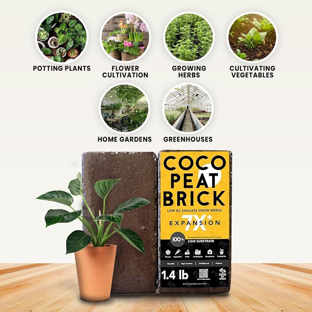Mattonella da 650g - Mattonell - Substrate Coconut Fiber recensione e prezzo