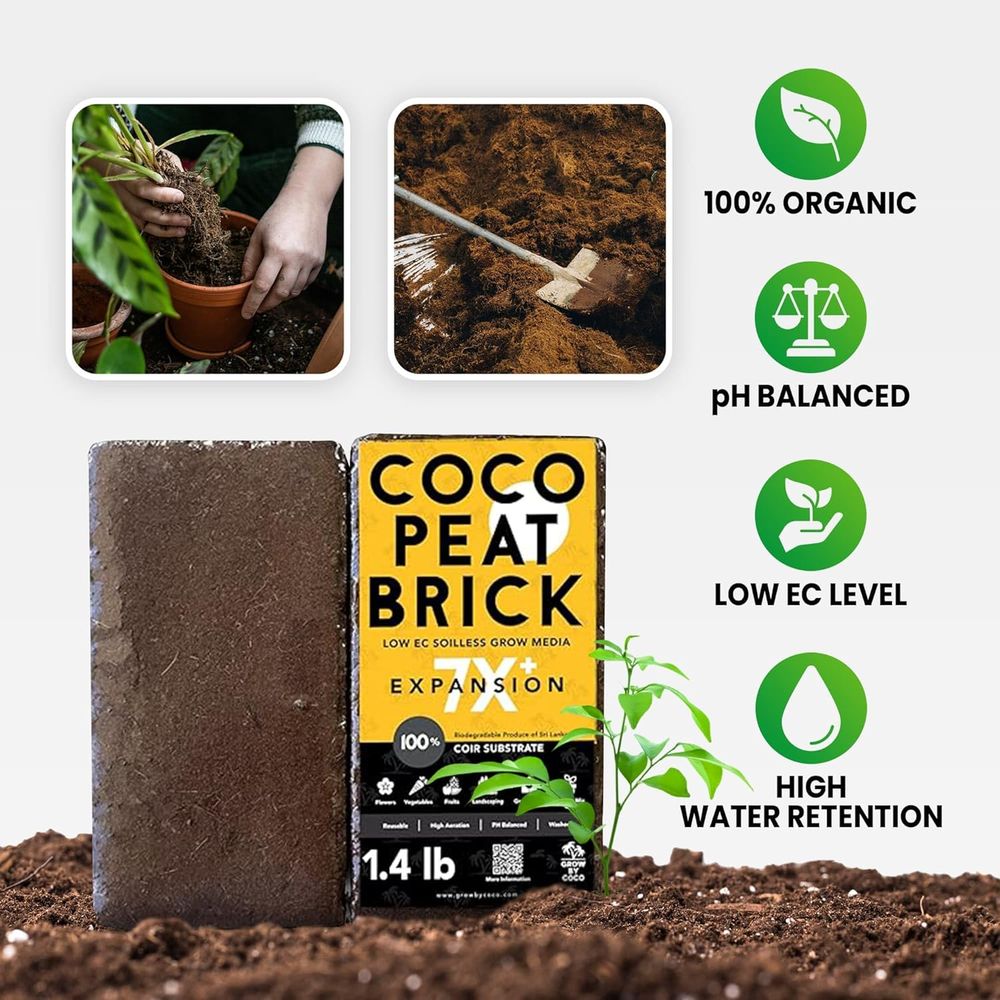Mattonella da 650g - Mattonell - Substrate Coconut Fiber recensione e prezzo