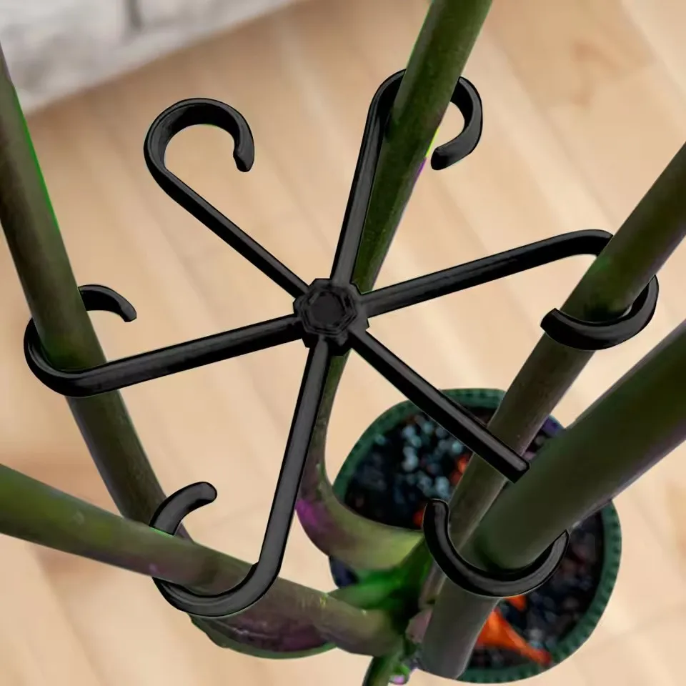 Supporti per foglie di Alocasi - Vine Climbing Plastic recensione e prezzo