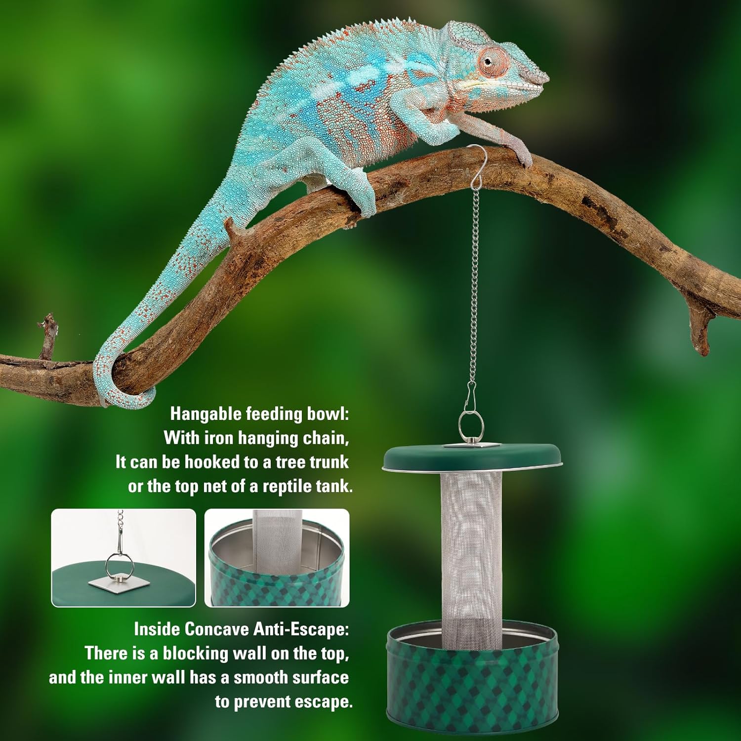 Mangiatoia per drago barbuto C - Water Dish Reptile recensione e prezzo