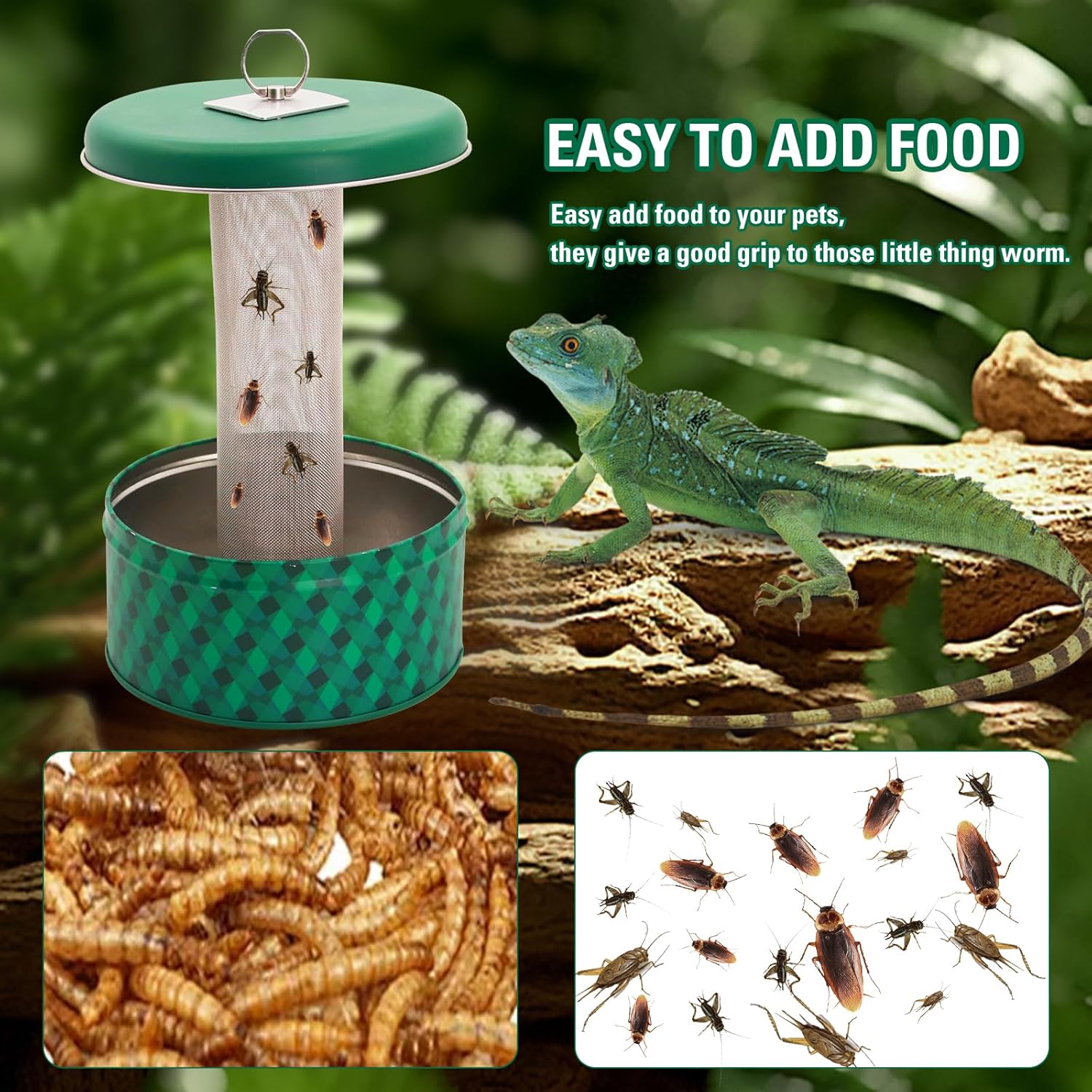 Mangiatoia per drago barbuto C - Water Dish Reptile recensione e prezzo