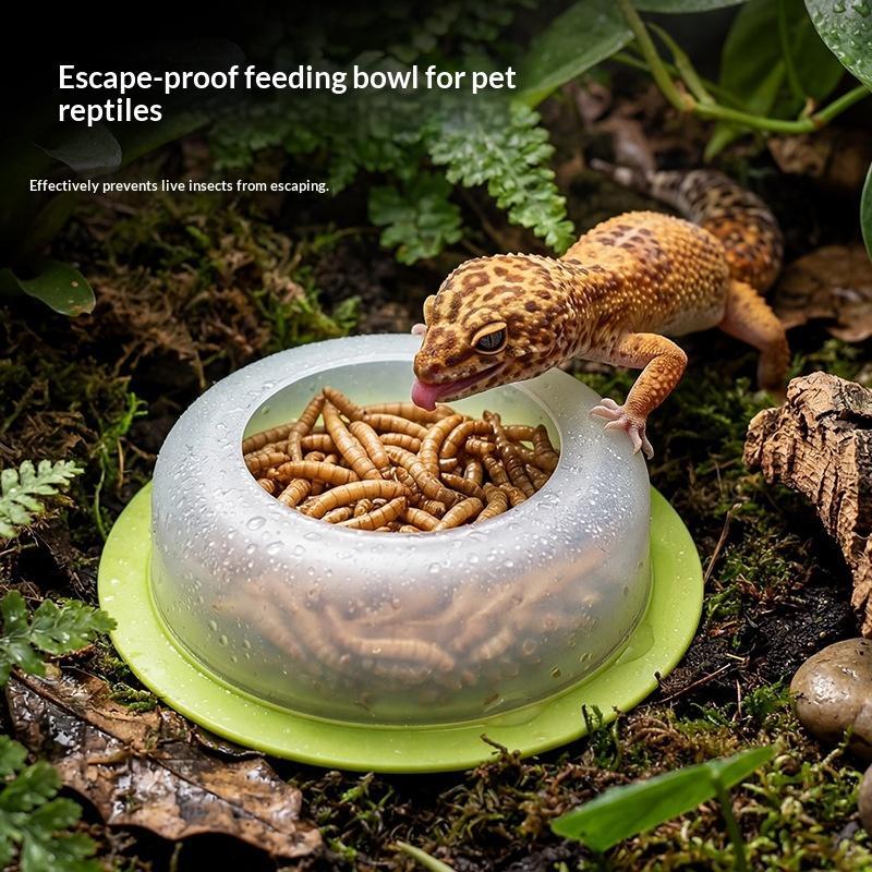1 Pezzo Ciotola per Alimentazi - Water Dish Reptile recensione e prezzo