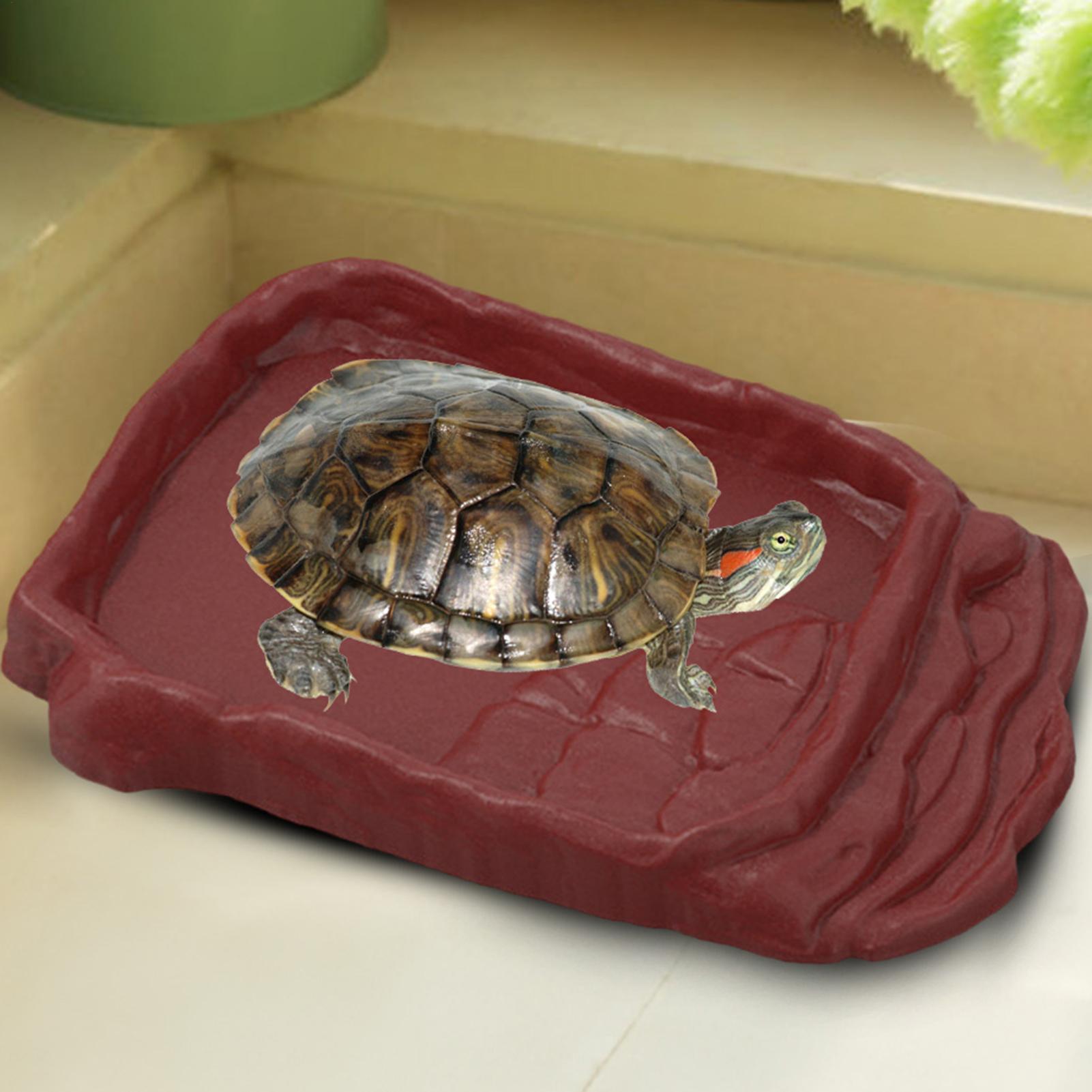 Vasca per Tartarughe, Ciotola  - Water Dish Reptile recensione e prezzo