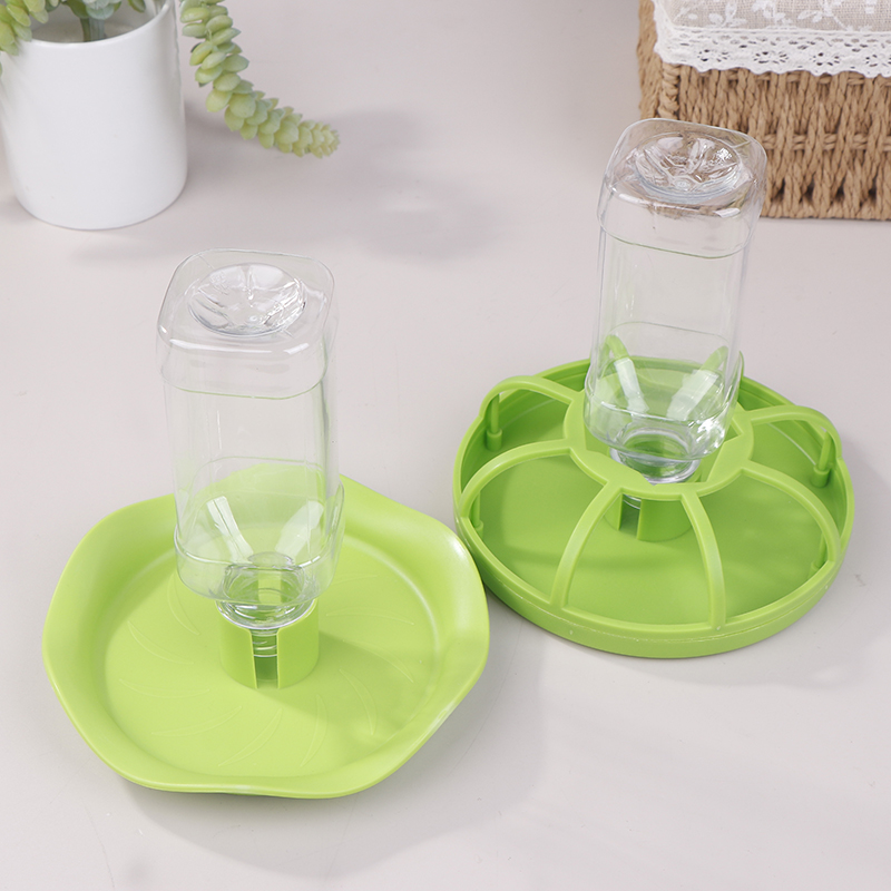 Dispenser d'Acqua per Rettili, - Water Dish Reptile recensione e prezzo