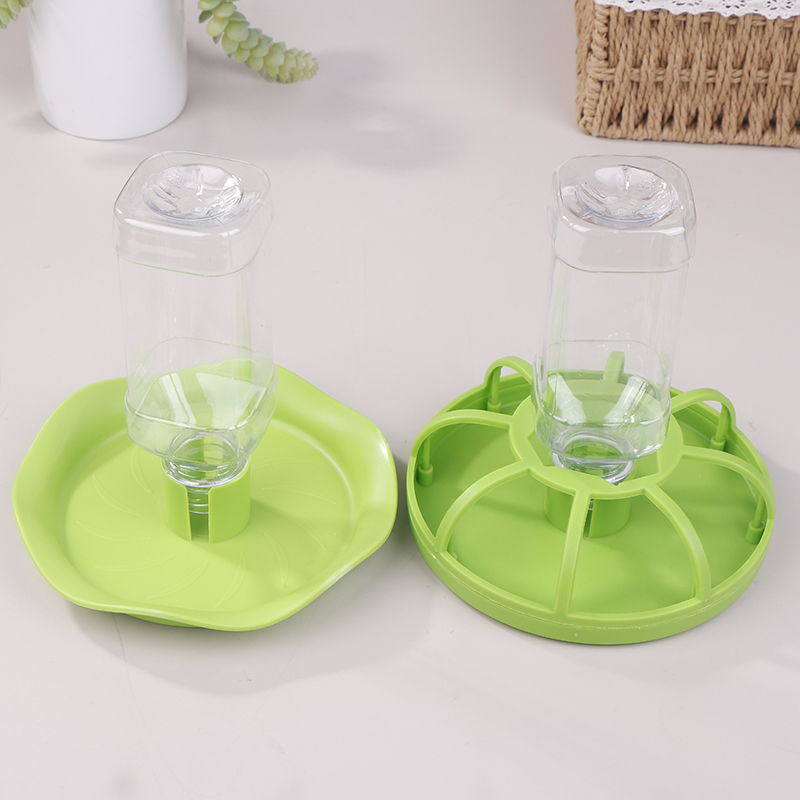 Dispenser d'Acqua per Rettili, - Water Dish Reptile recensione e prezzo