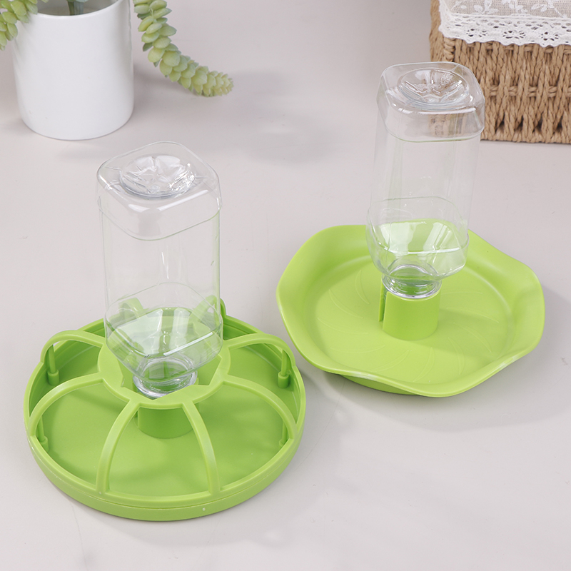 Dispenser d'Acqua per Rettili, - Water Dish Reptile recensione e prezzo